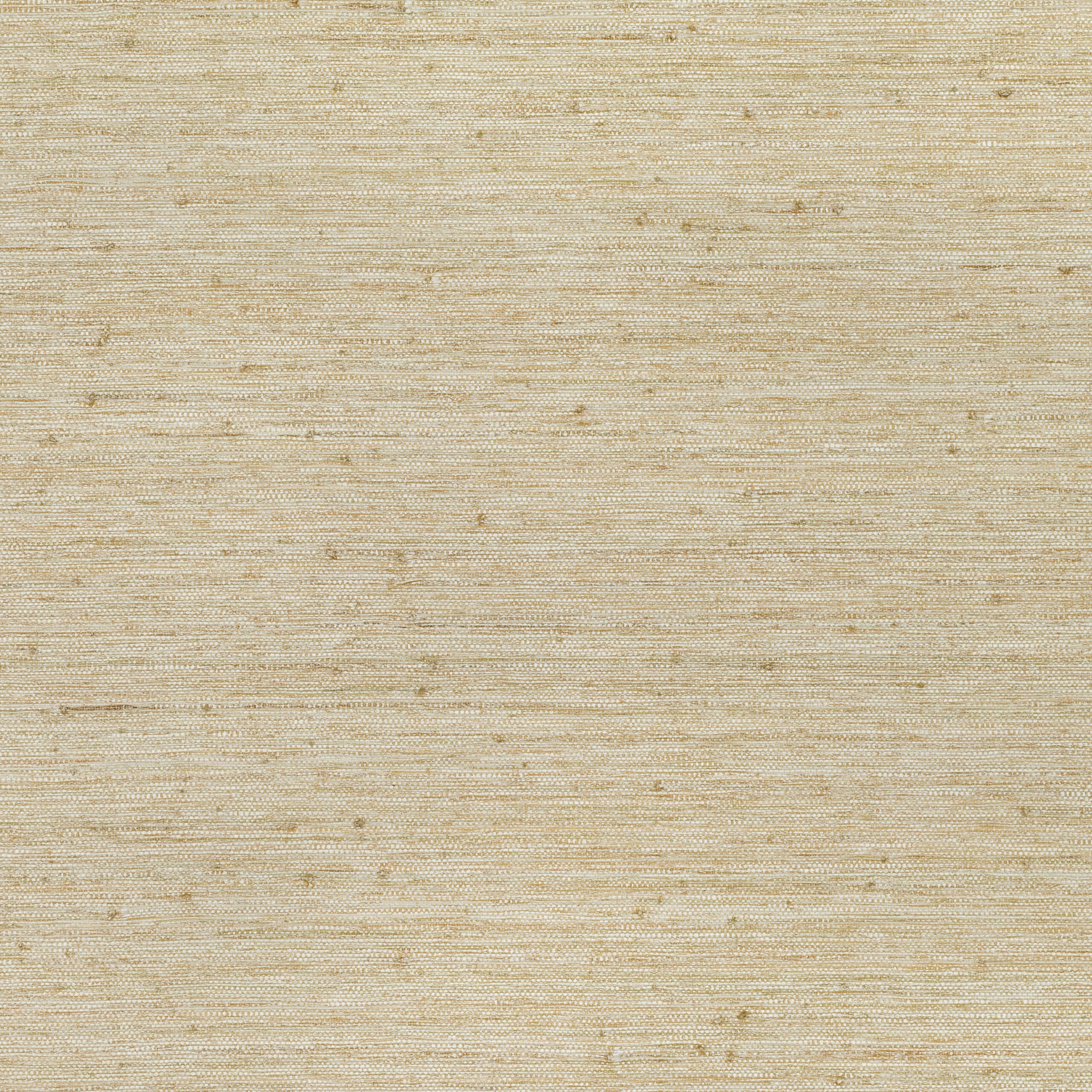 Raffia — MW103/01 · MW103/01