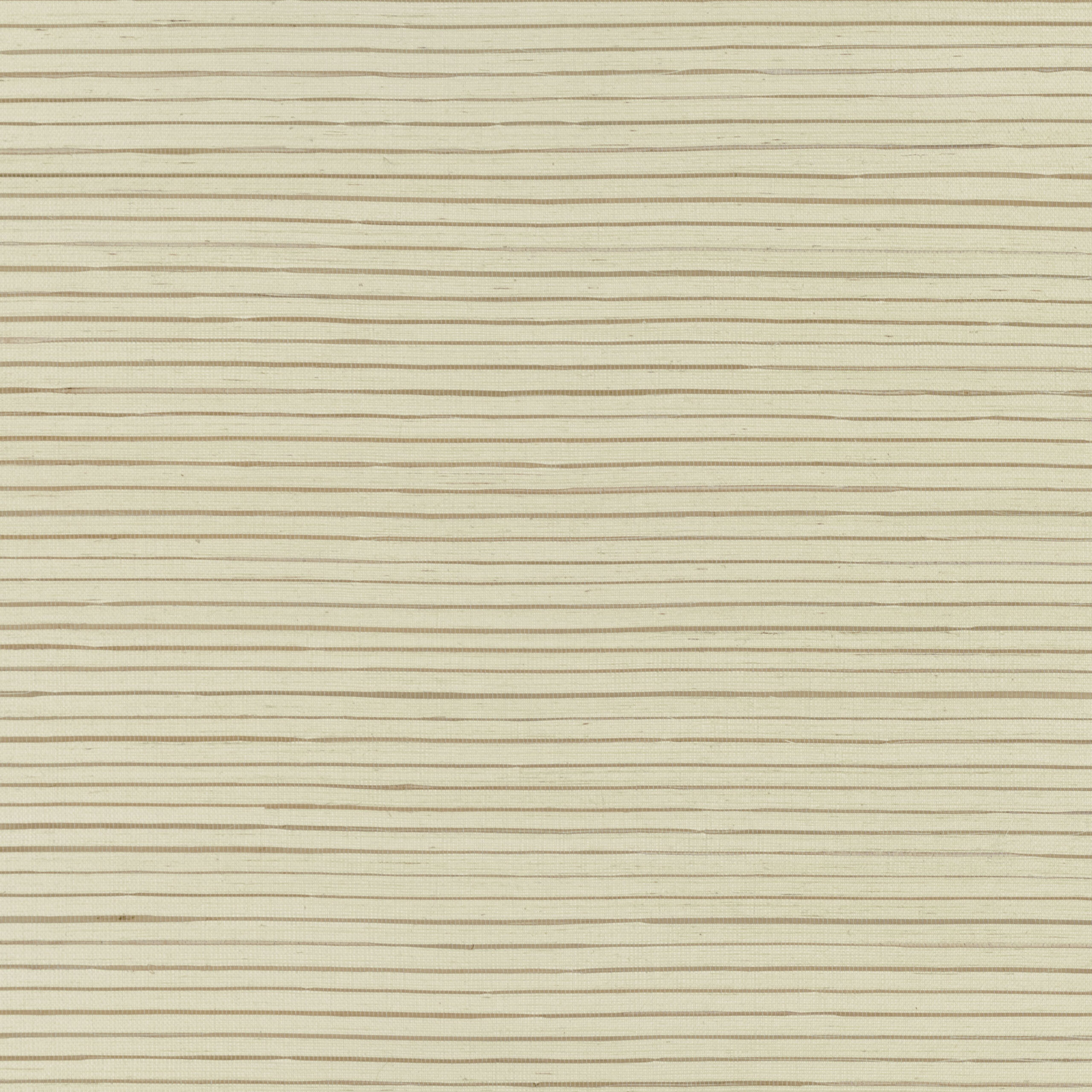 Seagrass — MW106/01 · MW106/01