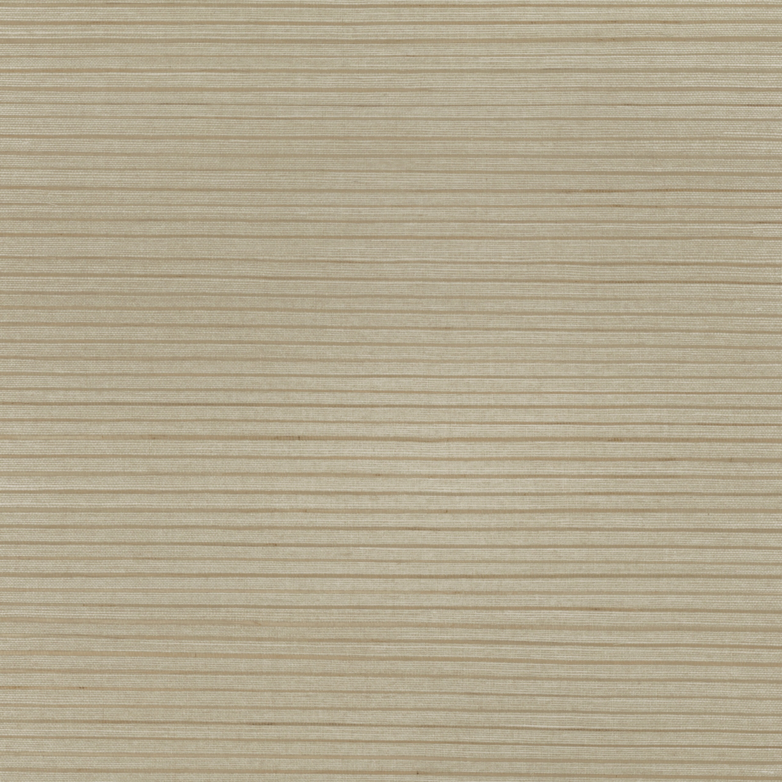Seagrass — MW106/04 · MW106/04