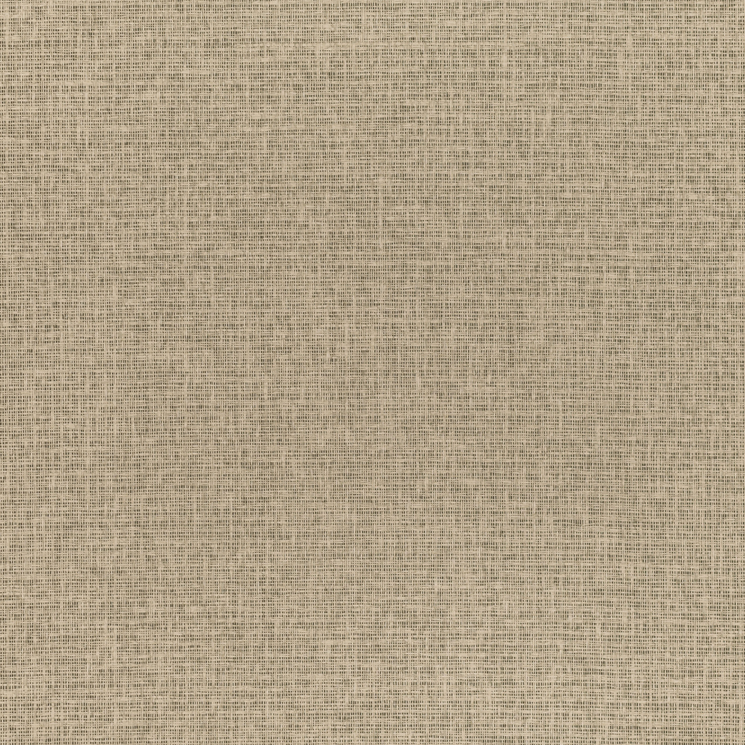 Shifu — Bark · MW112/07