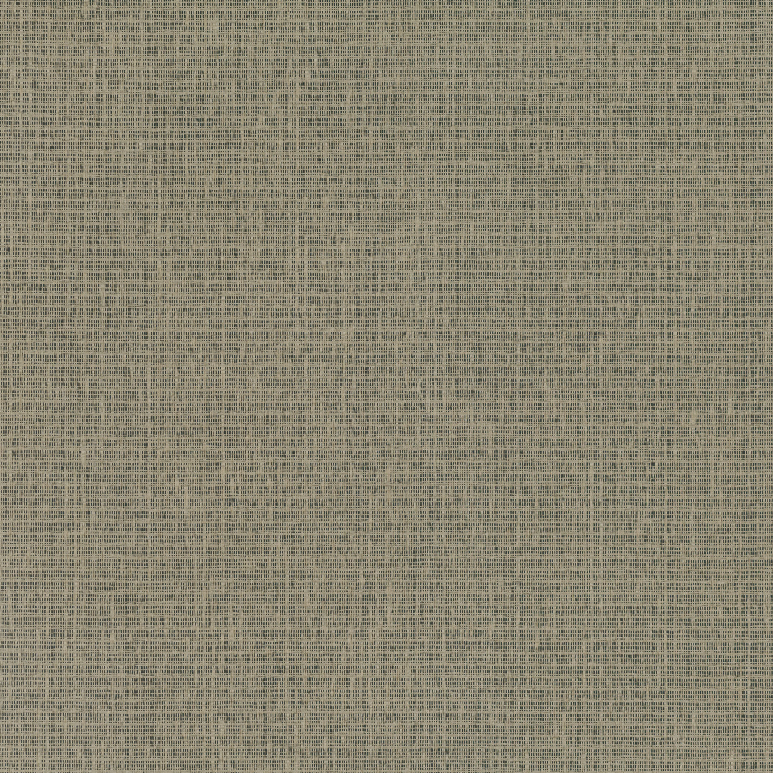 Shifu — Heath · MW112/08