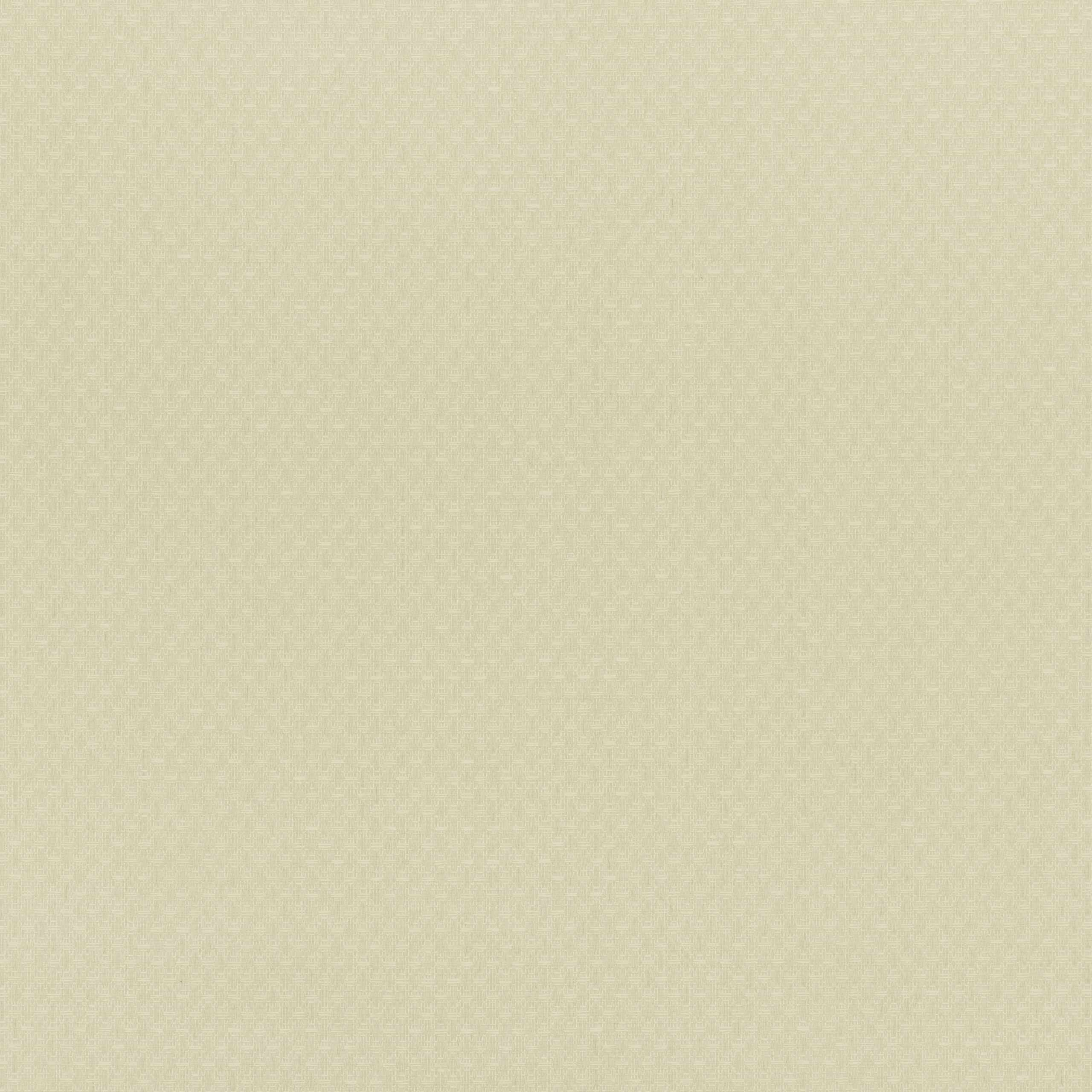 Shifu — Jasmine · MW112/11