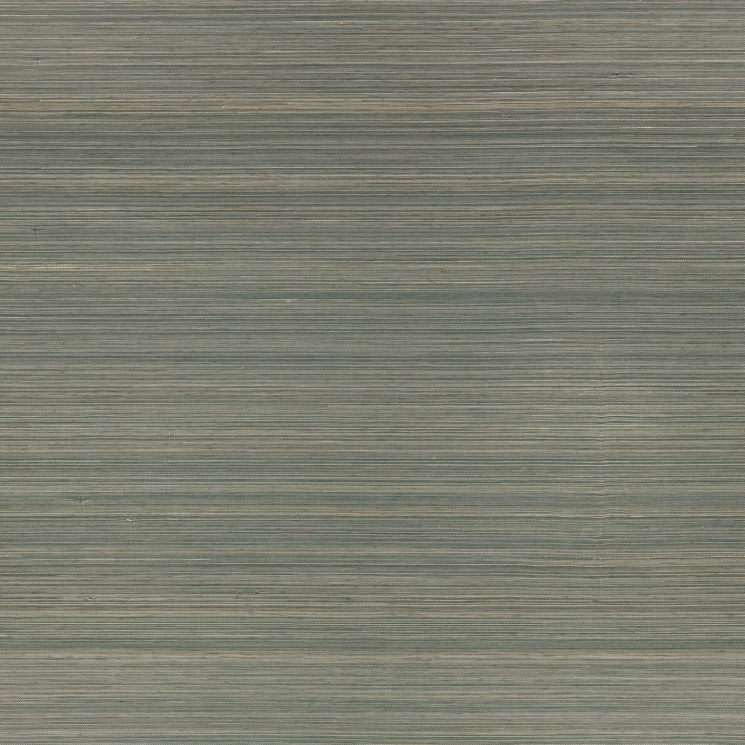 Duo Abacá Wallcovering — Tempest · MW142/04