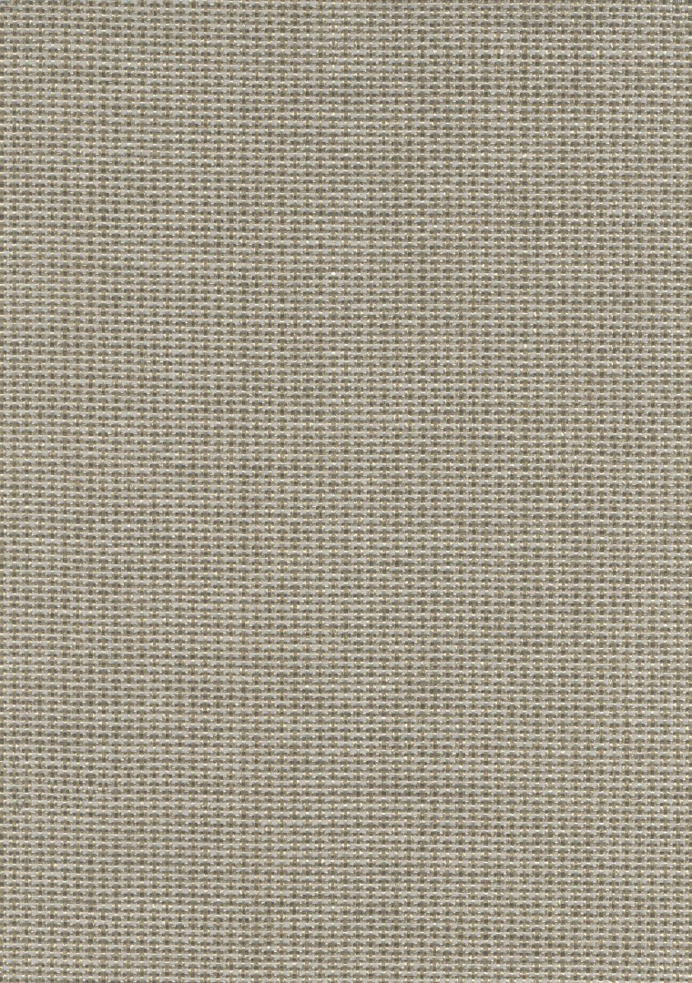 XPE Entangle — P180PE4004