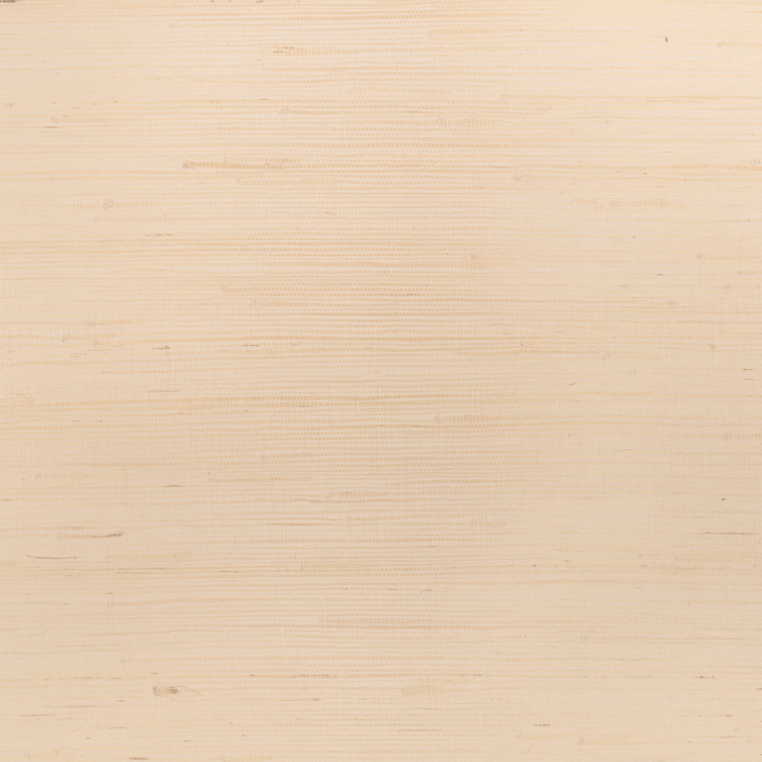 Glade Wallcovering — Clay · WK812/02