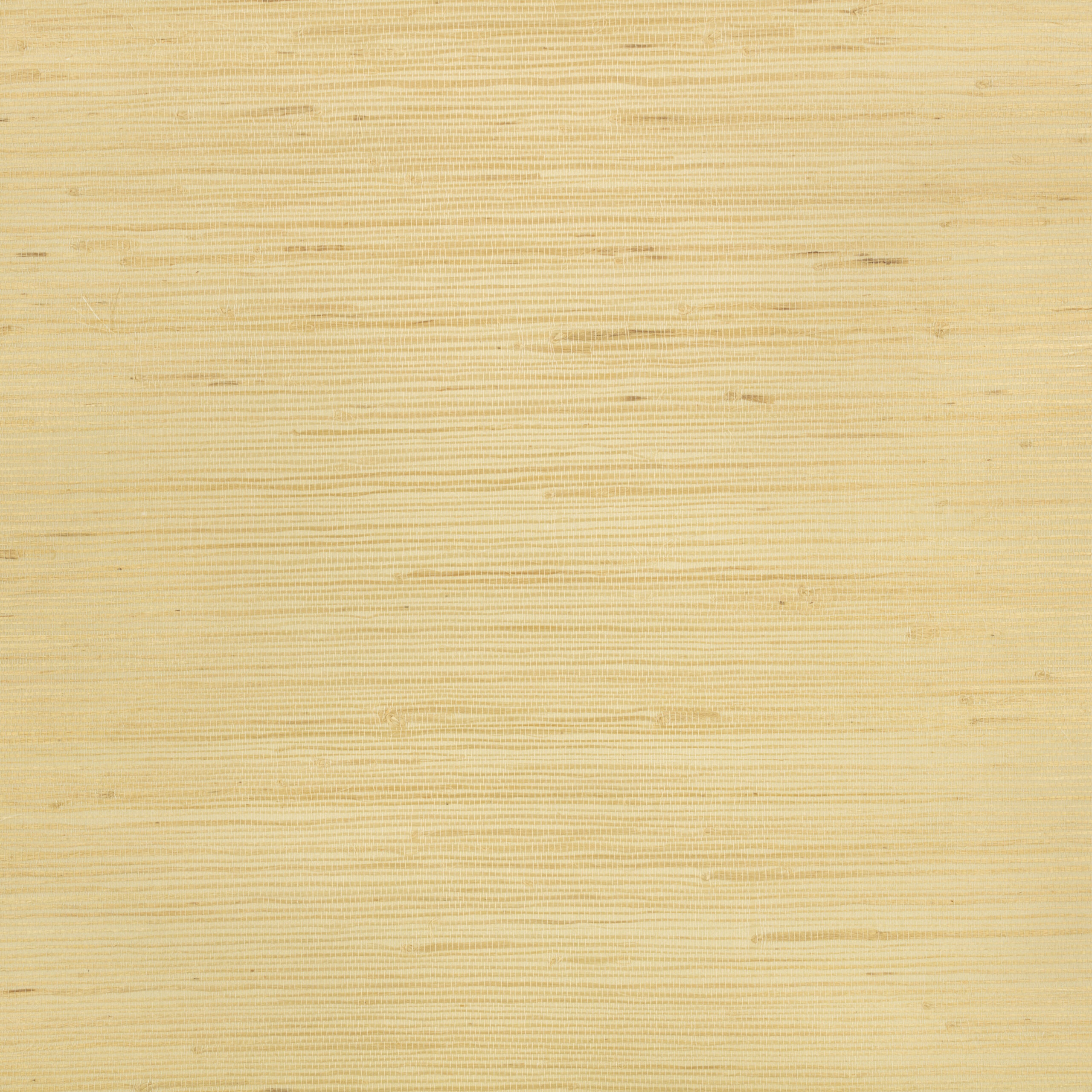 Glade Wallcovering — Desert · WK812/03