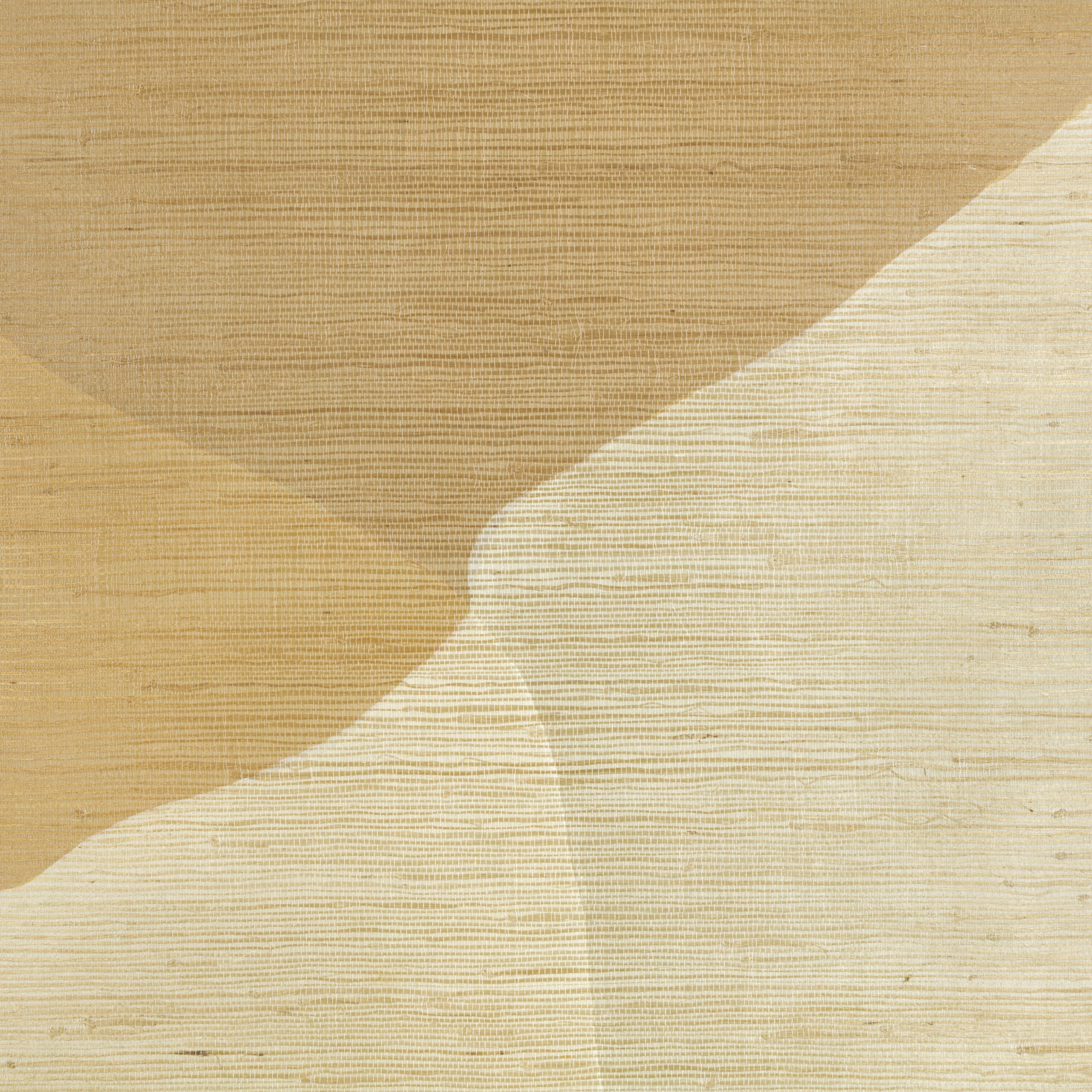 Studio Wall Mural — Desert · WK817/04