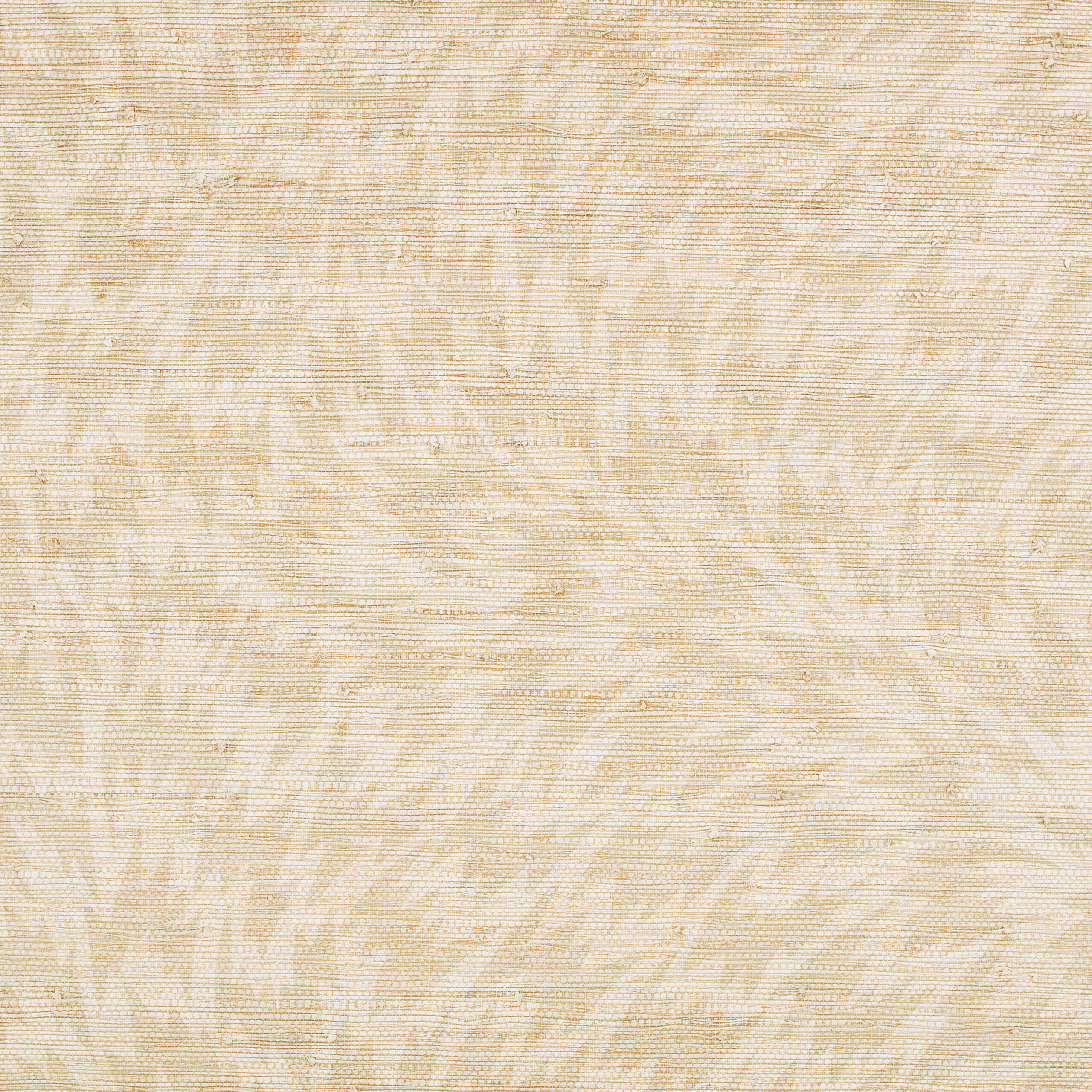 Flash Wallcovering — Natural · WK820/02