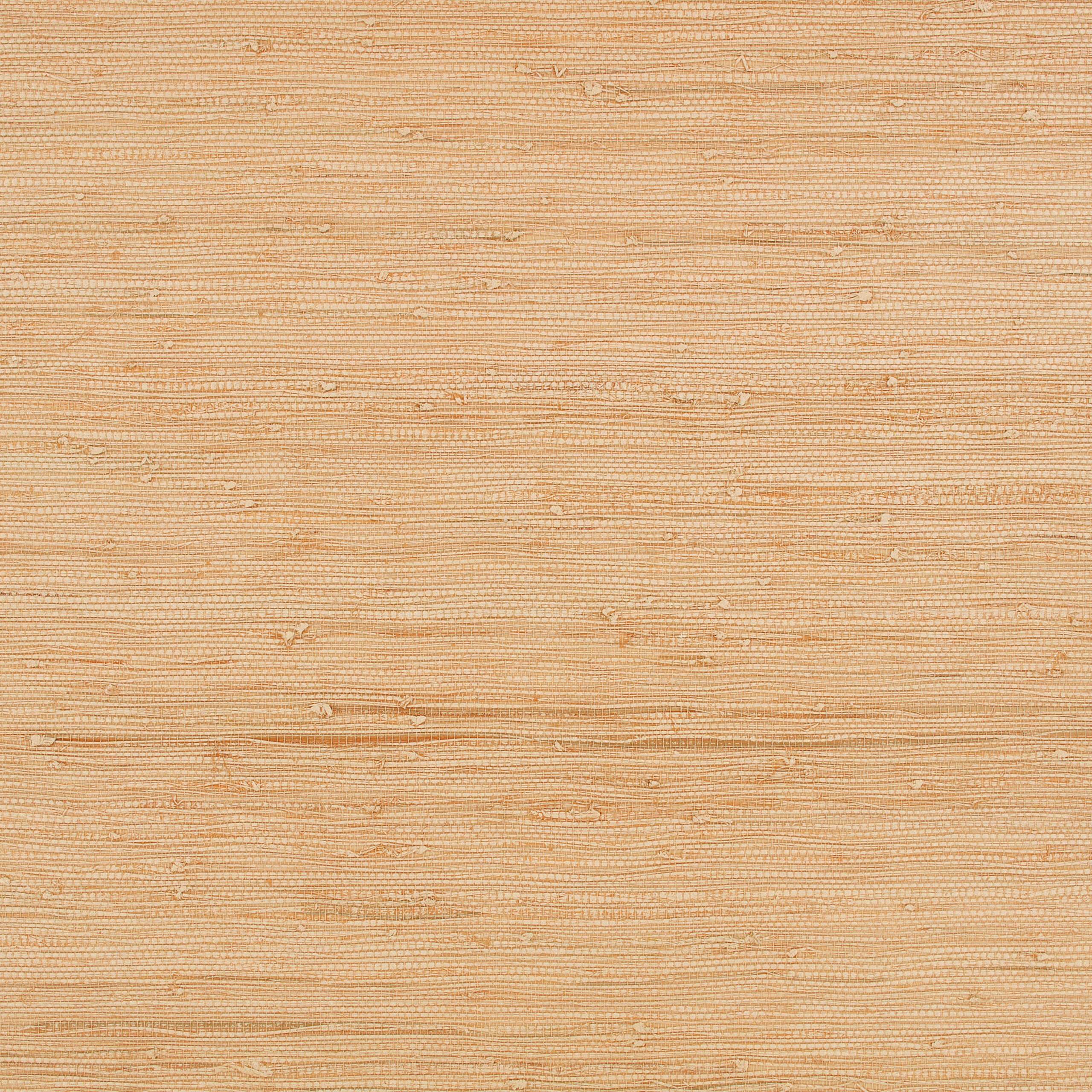 Solid Wallcovering — Pink Apricot · WK822/03