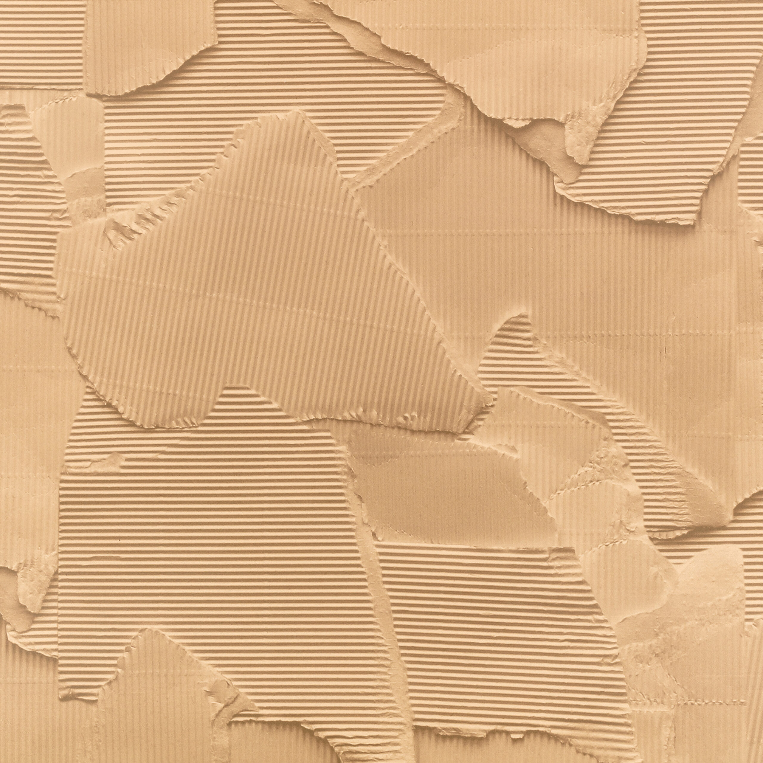 Tear Wallcovering — Cardboard · WK823/02