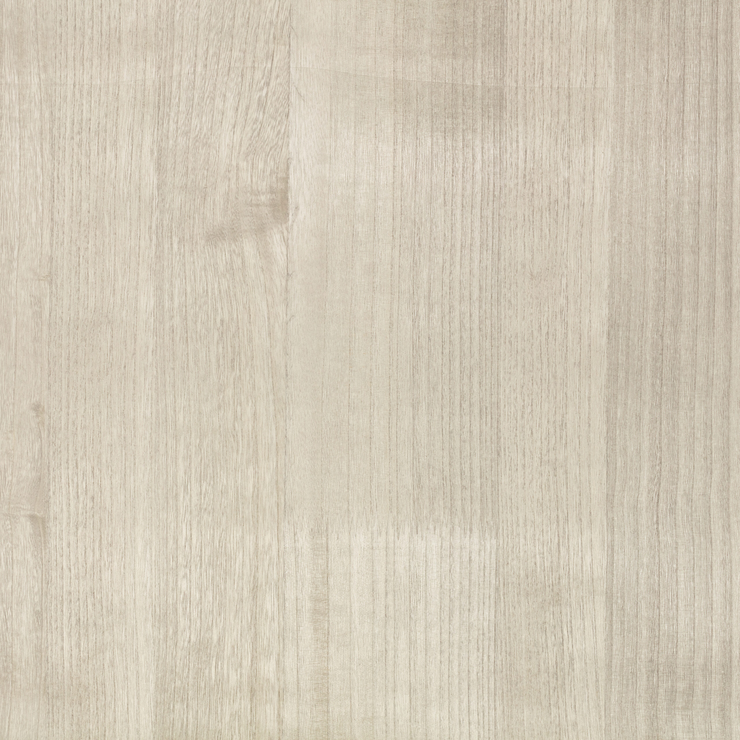 Paulownia Wallcovering — Moonbeam · ZW148/01