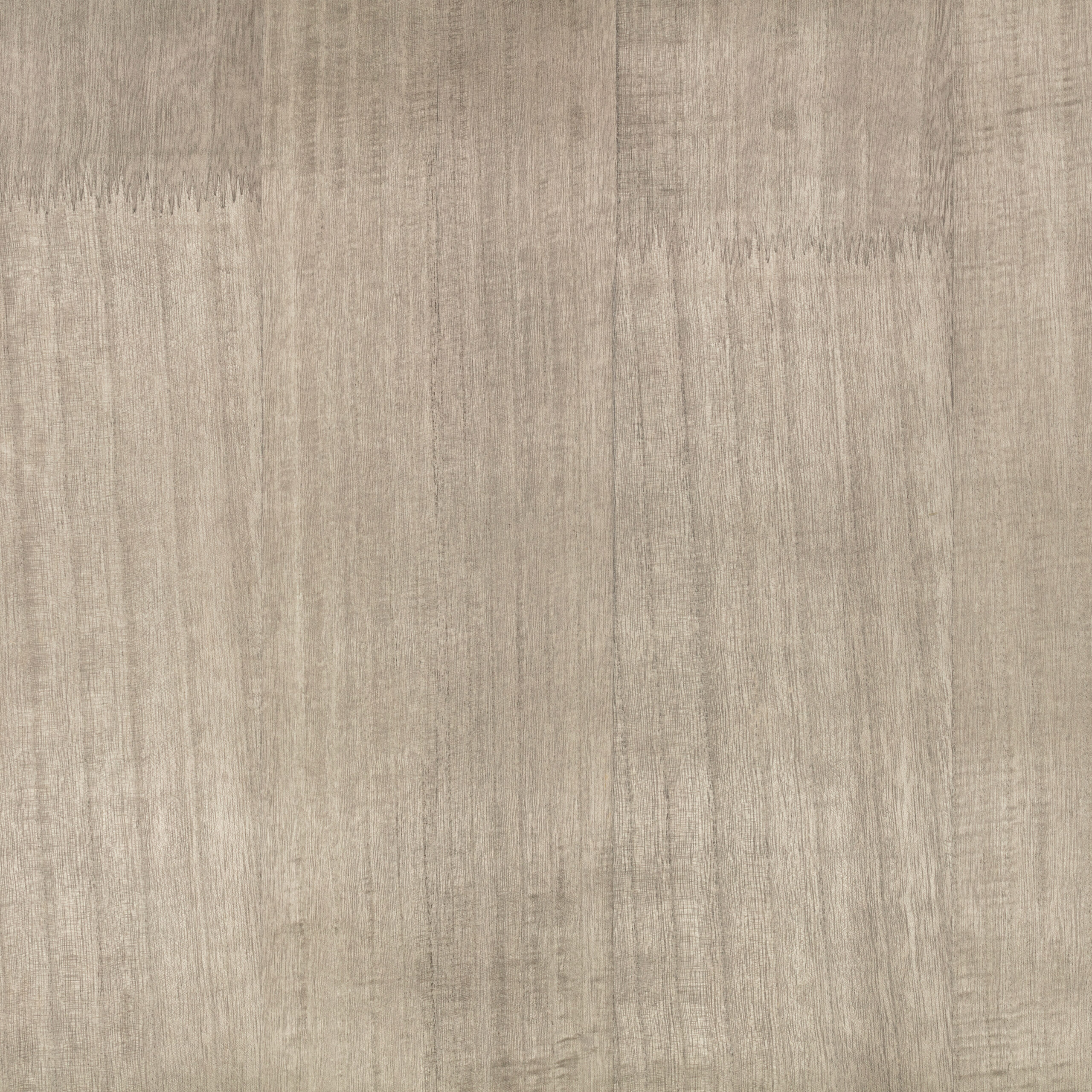 Paulownia Wallcovering — Silver Grey · ZW148/02