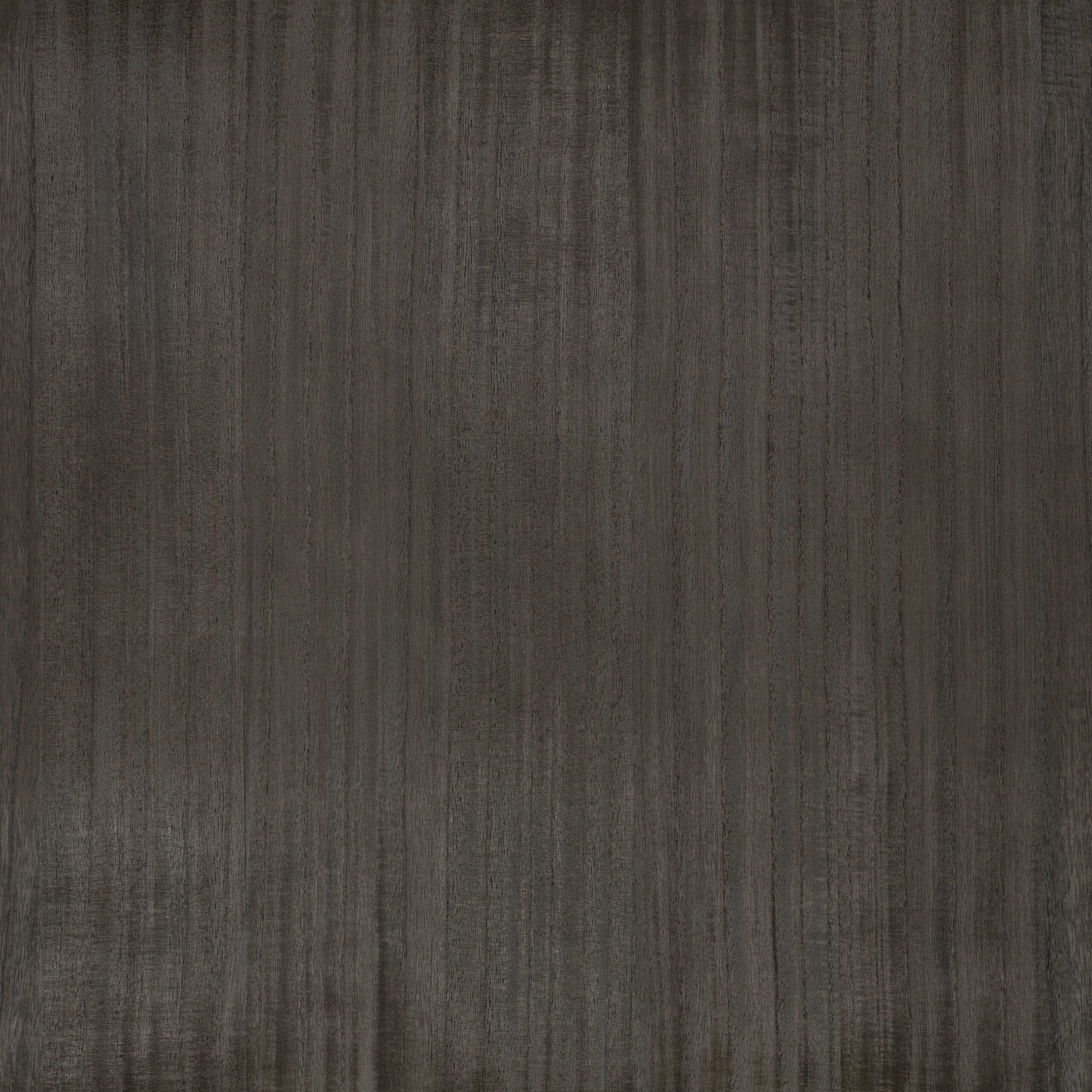 Paulownia Wallcovering — Mercury · ZW148/04