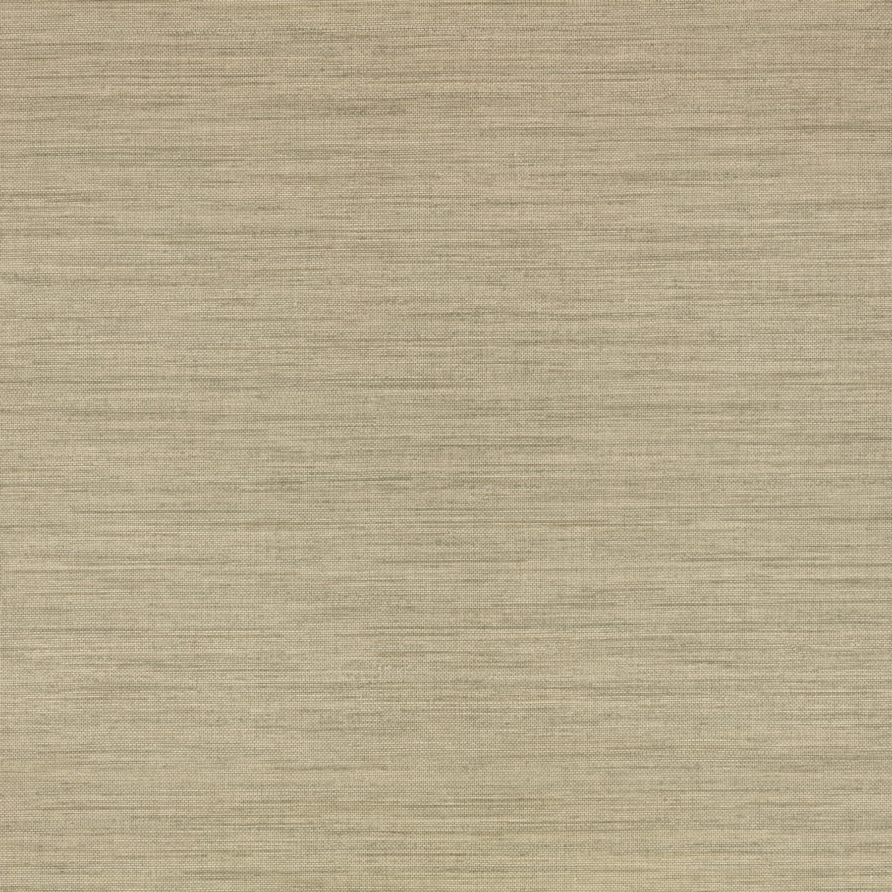 Caper — W462/15