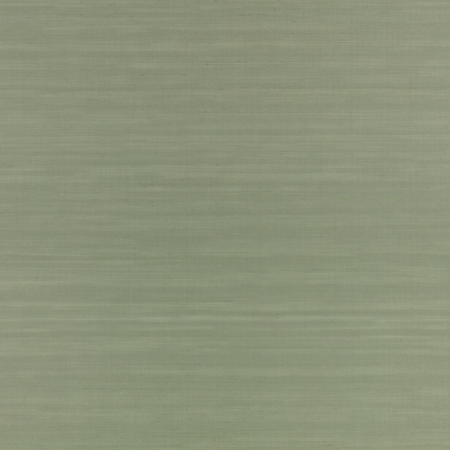 Fern — W464/12