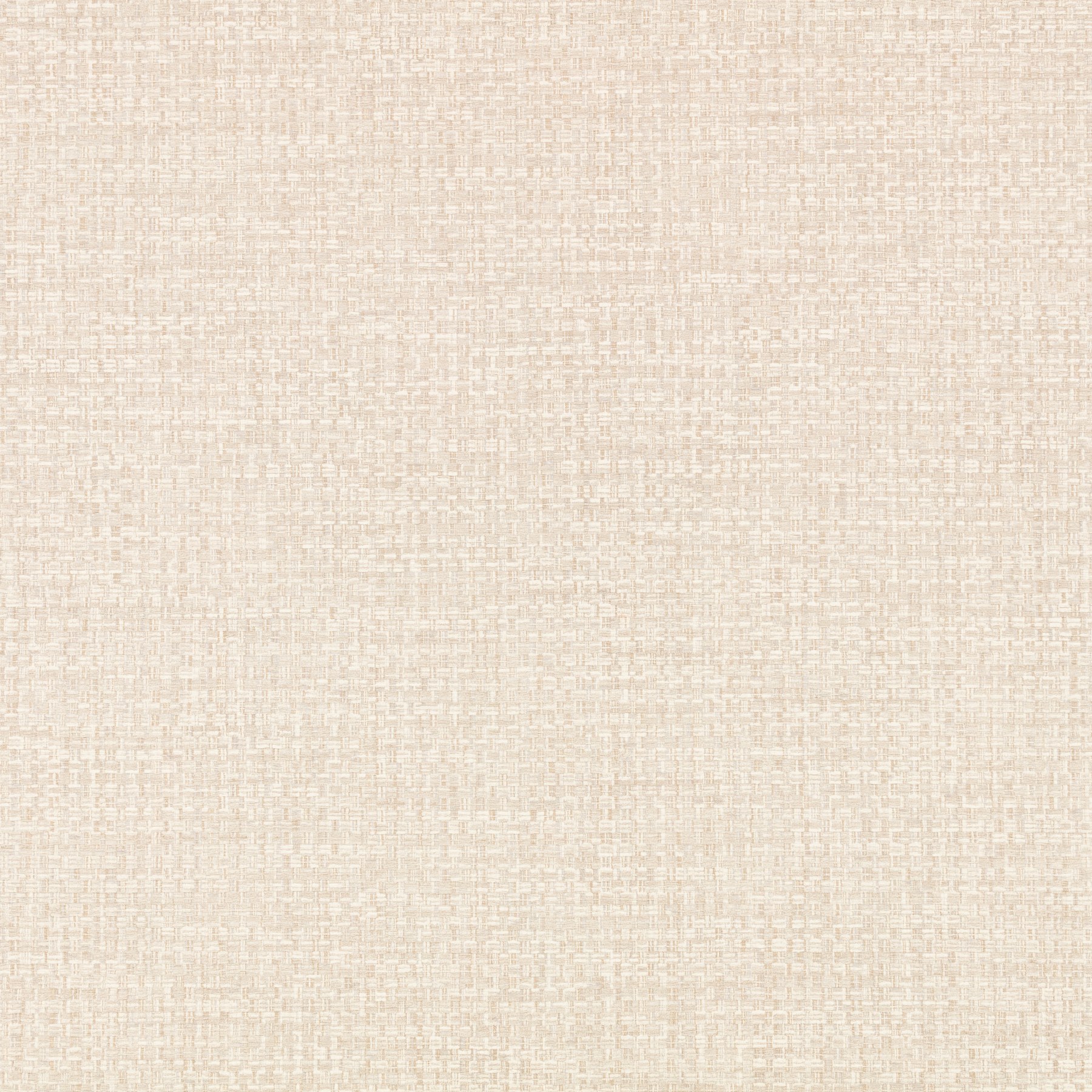 Catkin — W479/01