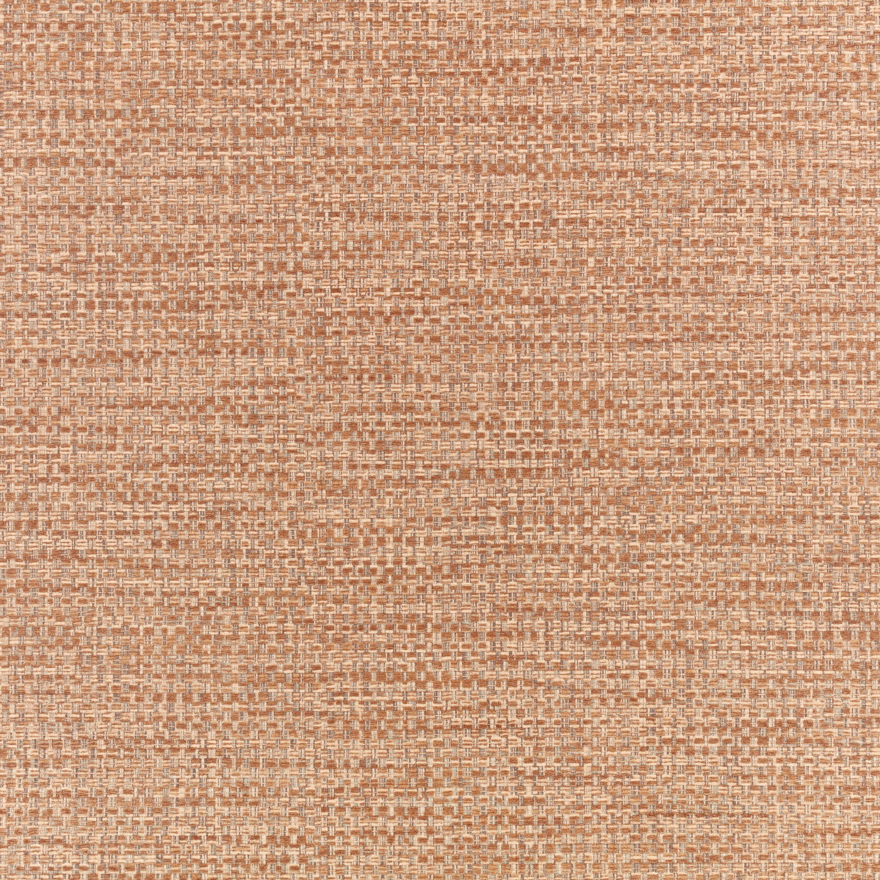 Cinnamon — W479/05