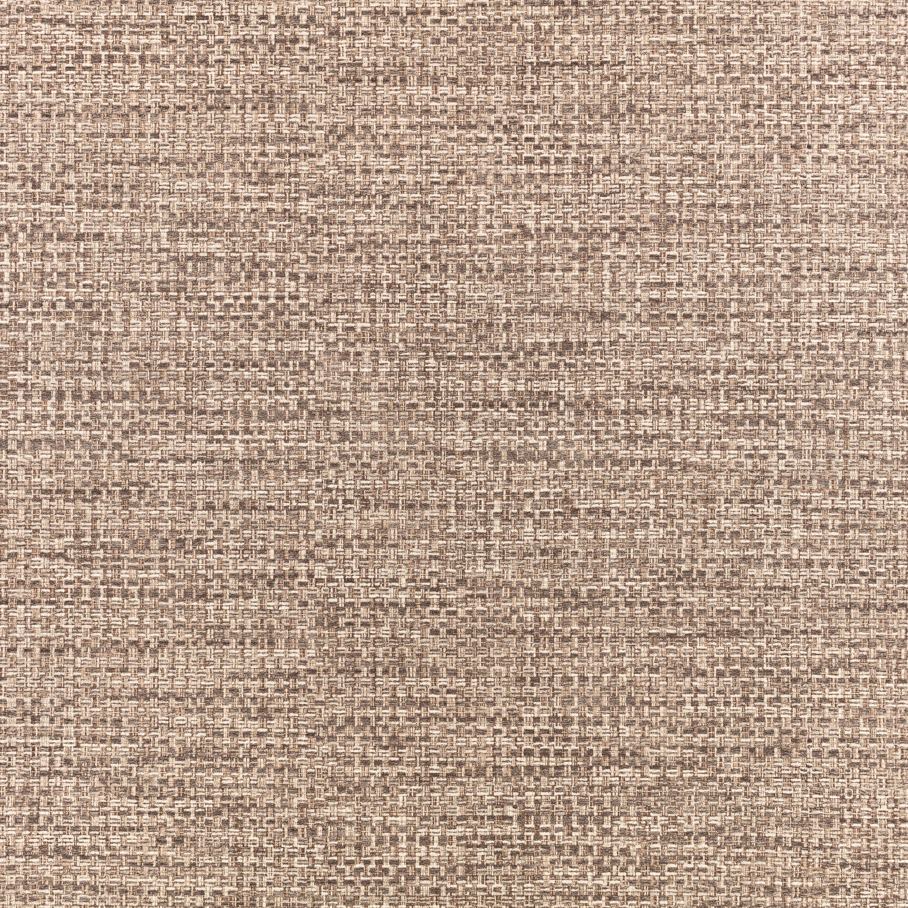 Coffee Bean — W479/06