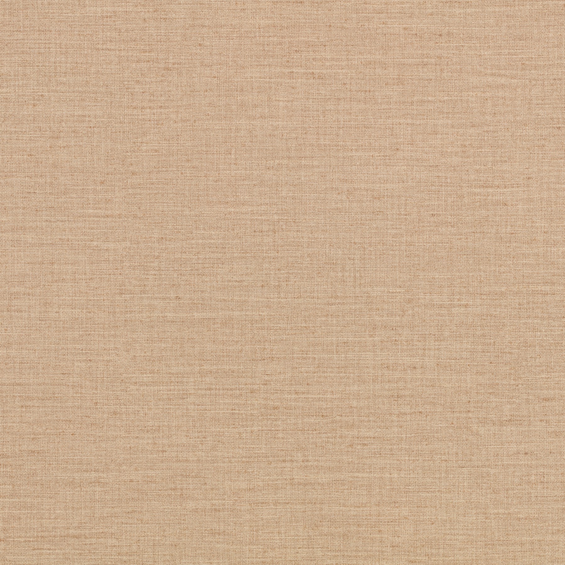 Beech — W494/09