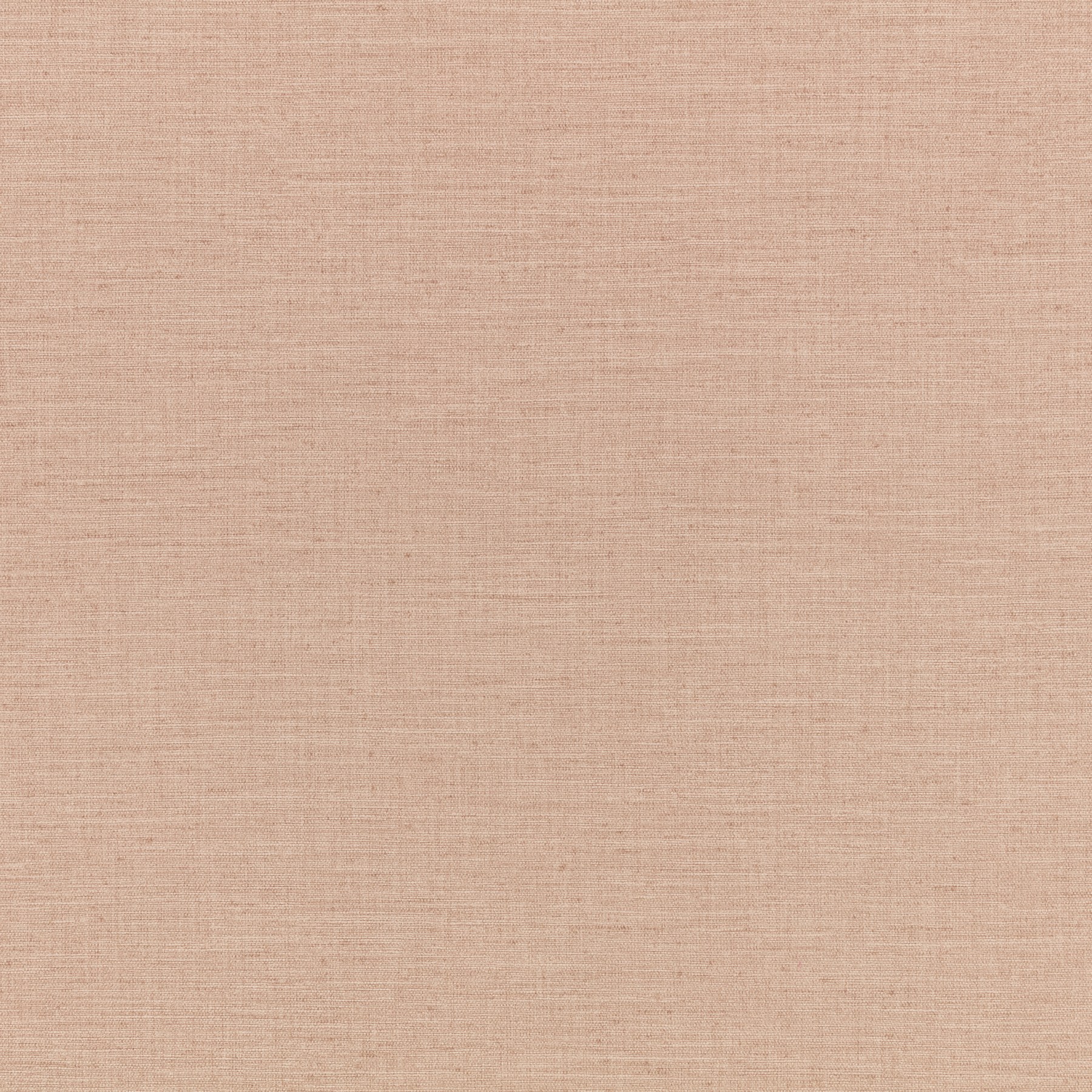 Wild Rose — W494/14