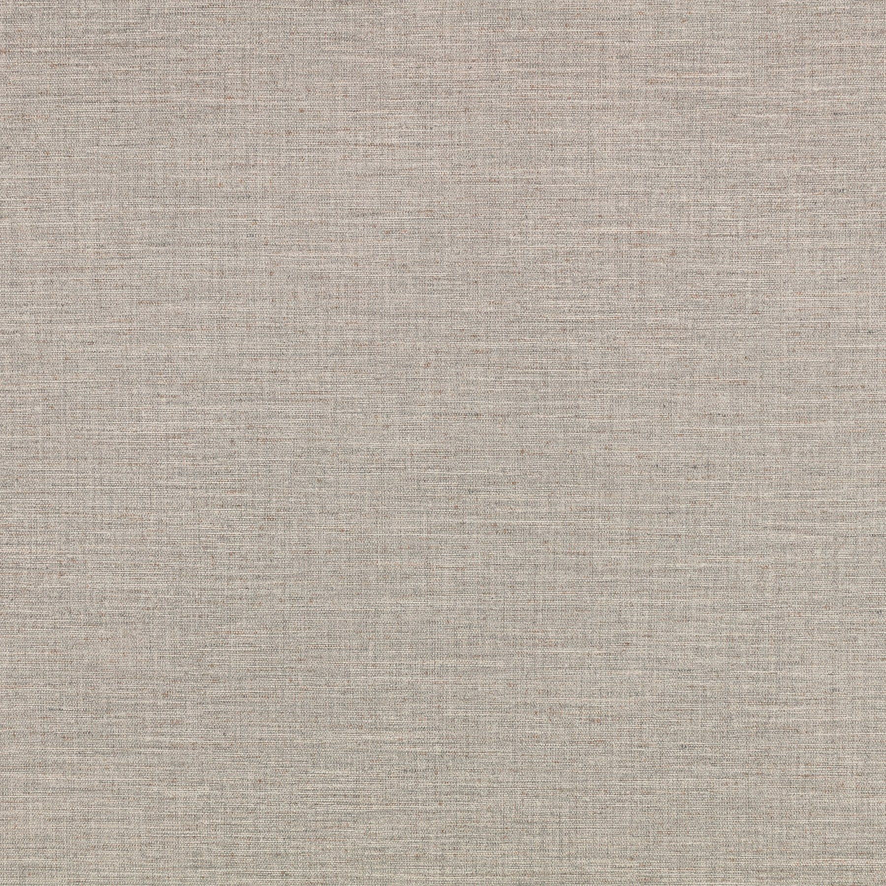 Eucalyptus — W494/19