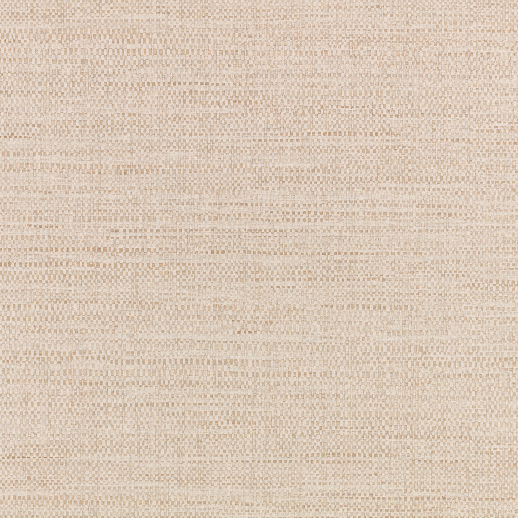 Shell — W495/01
