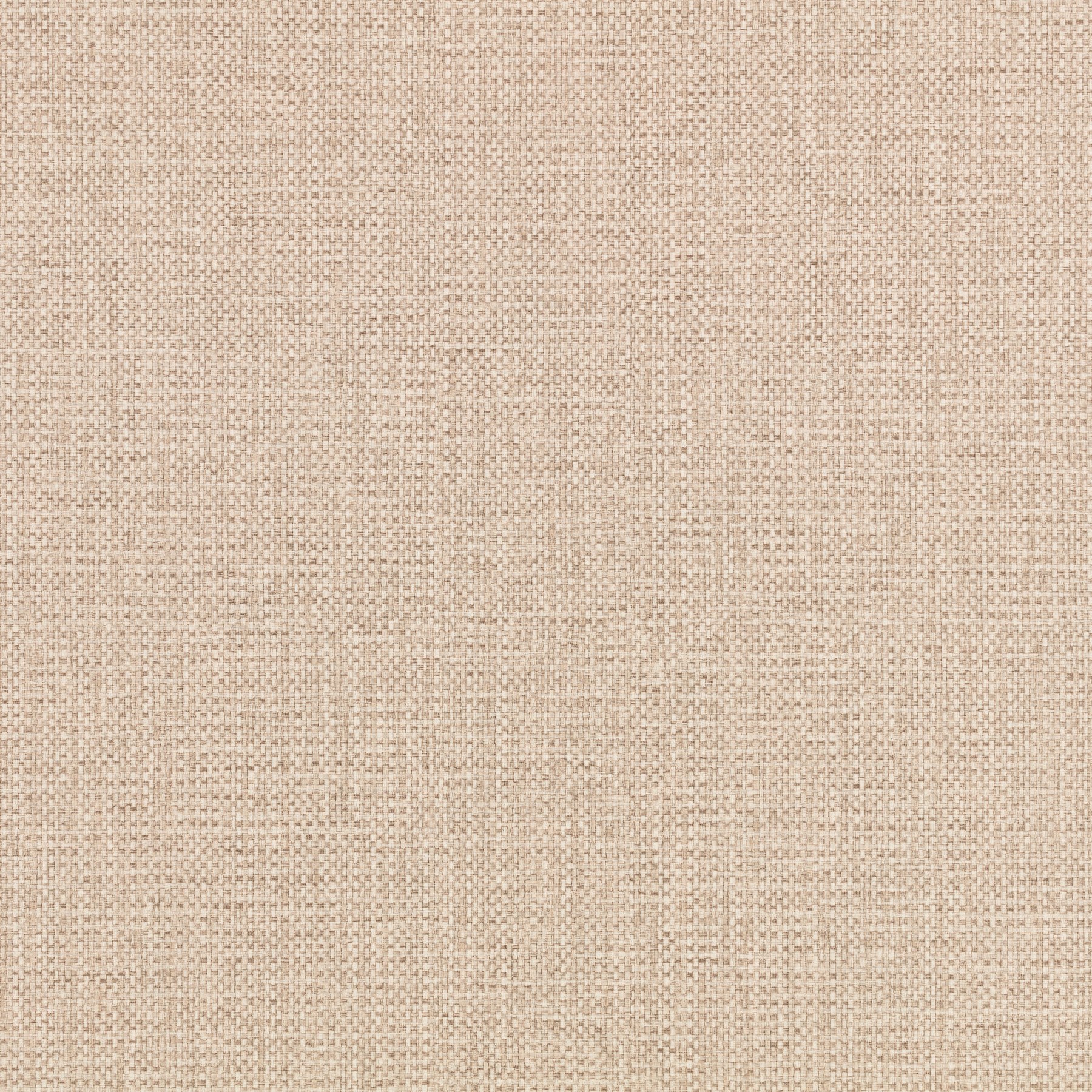 Silver Birch — W496/05