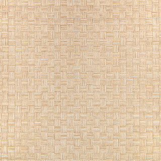 Pyrite Wallcovering Goldsand