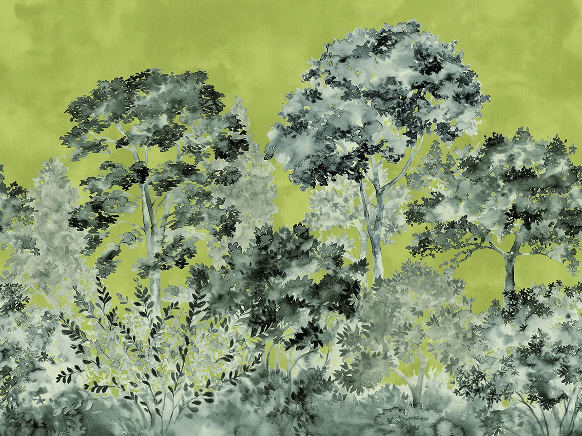 Watercolor Tree — H156DP1024